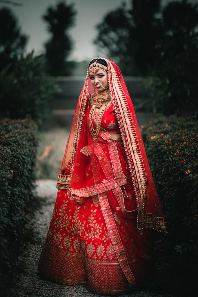 A Queen's Wedding Story